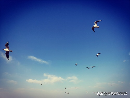 秦皇岛北戴河网红打卡地鸽子窝公园