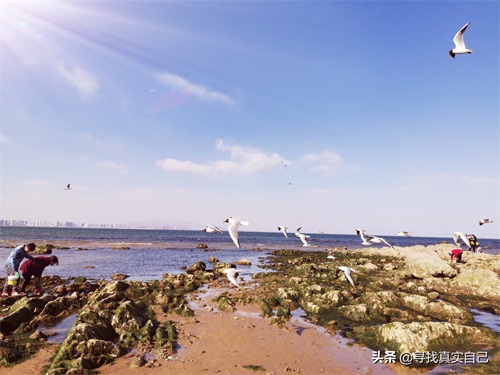 秦皇岛北戴河网红打卡地鸽子窝公园