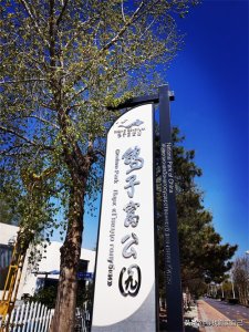 ​秦皇岛北戴河网红打卡地鸽子窝公园