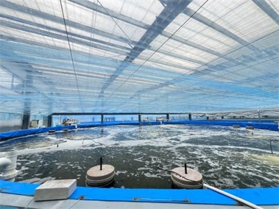 ​贵州库铂牛蹄关海洋科技有限公司养殖的南美白对虾通过国家食品安全标准检测