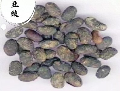 ​每日一味中药——淡豆豉