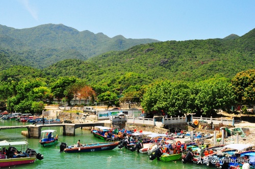 杨梅坑 --- 深圳一处看海 听海的好去处