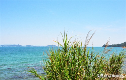 杨梅坑 --- 深圳一处看海 听海的好去处