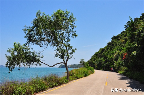 杨梅坑 --- 深圳一处看海 听海的好去处