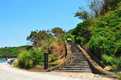 杨梅坑 --- 深圳一处看海 听海的好去处