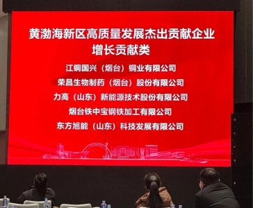 ​东方旭能荣获烟台黄渤海新区高质量发展杰出贡献企业