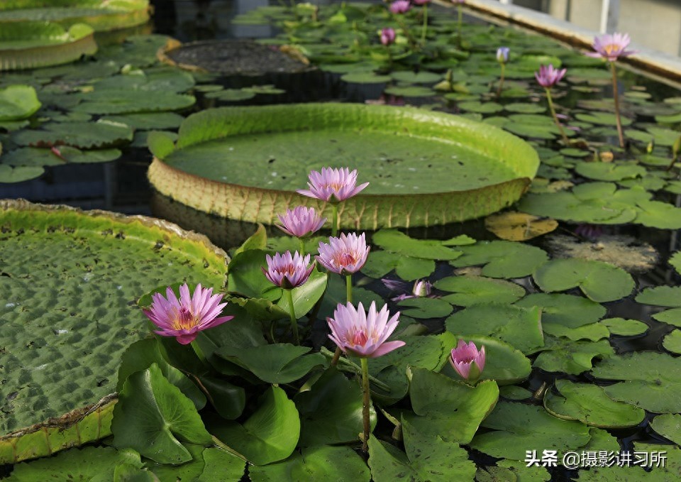 日本别府地狱—举世奇观 八大地狱各不相同