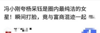 ​杨采钰和刘亦菲 天涯