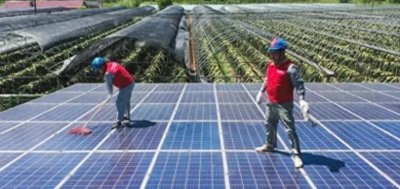 ​农民悲剧！光伏发电投资成骗局，血汗钱化为泡影！