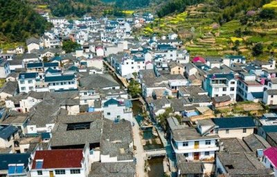 ​敲定！6月起，合村并镇试点启动，“集中上楼”成趋势！期待吗？